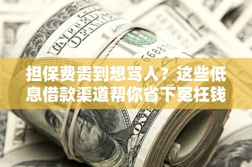 北京担保费贵到想骂人？这些低息借款渠道帮你省下冤枉钱