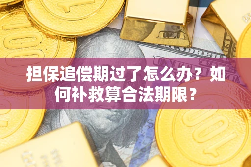 北京担保追偿期过了怎么办？如何补救算合法期限？