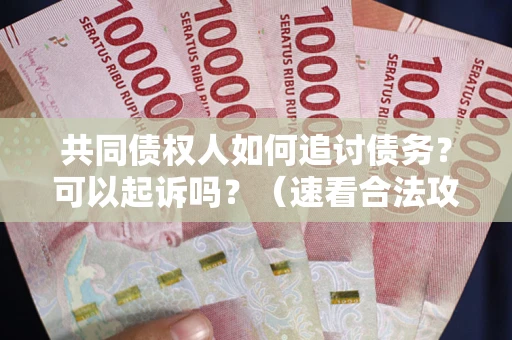 北京共同债权人如何追讨债务？可以起诉吗？（速看合法攻略）