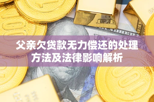 北京父亲欠贷款无力偿还的处理方法及法律影响解析